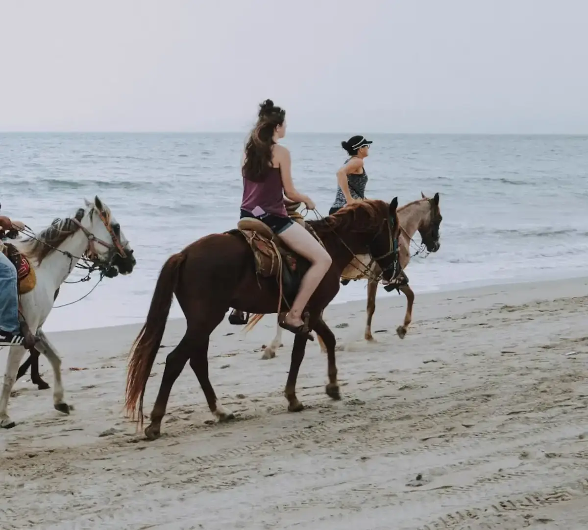 Cabalgata por la orilla del mar