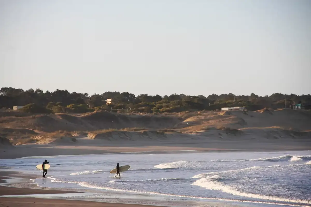 Surfistas entre las olas frente a la costa