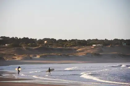 Surfistas caminando por la orilla frente a las dunas